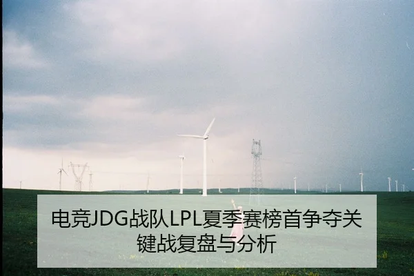 电竞JDG战队LPL夏季赛榜首争夺关键战复盘与分析